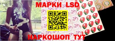 прущие грибы Ирбит