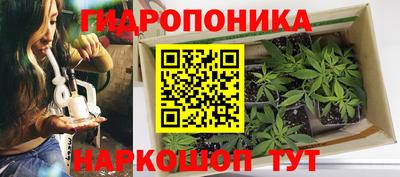 прущие грибы Ирбит
