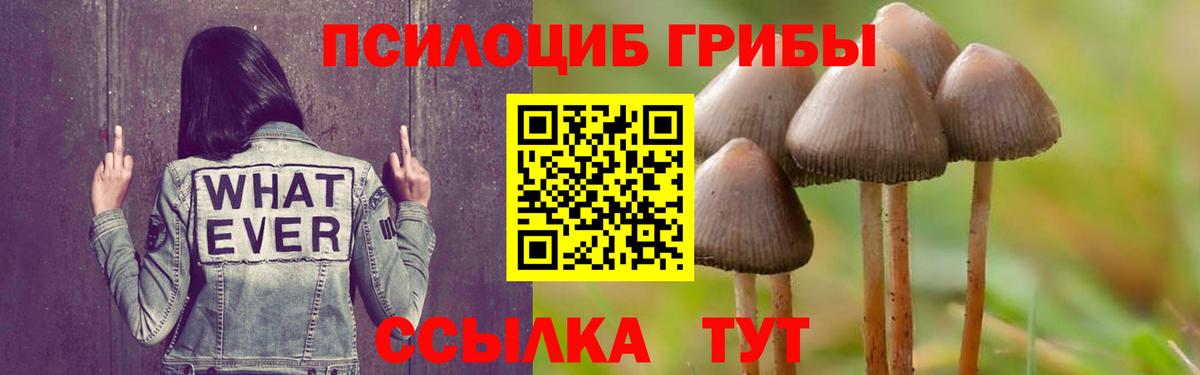 Галлюциногенные грибы мицелий  Вход с VPN  наркошоп  Янаул 